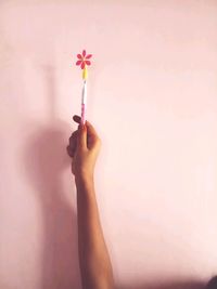 Close-up of woman hand holding pink flower