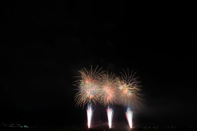 Firework display at night