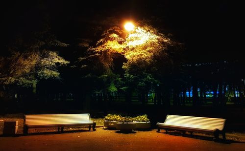 Empty bench in park at night