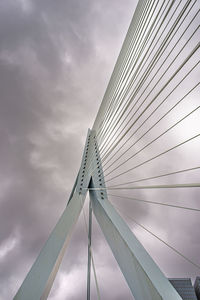 Erasmus bridge, rotterdam 