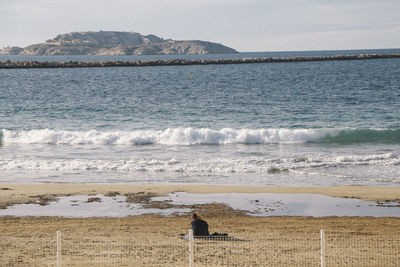 Rear view of people looking at sea against sky