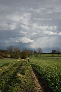 Scenic view of grassy field against cloudy sky