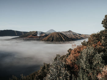 Scenic view of landscape against clear sky