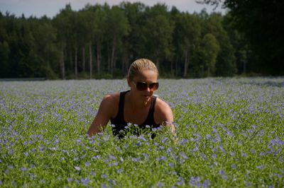 Full length of flowers in field