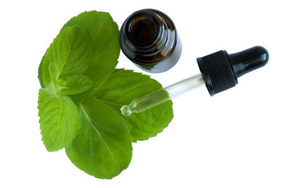 High angle view of drink on table against white background