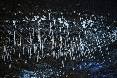 Close-up of frozen water