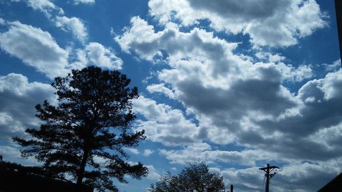 Low angle view of tree against cloudy sky