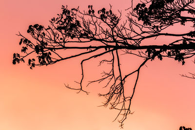 Low angle view of silhouette tree against sky at sunset