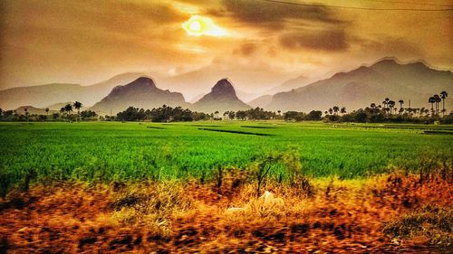 Scenic view of landscape against sky