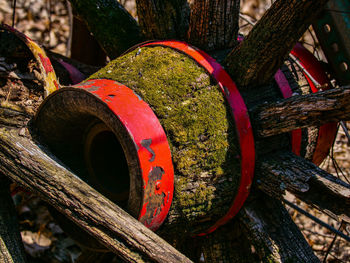 Close-up of old rusty wheel on tree trunk