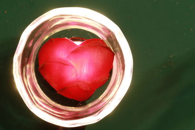 High angle view of pink rose in container