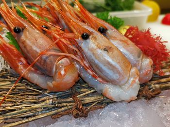 Close-up of fish in plate