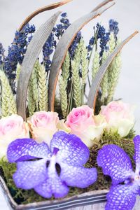 Close-up of purple flowering plants