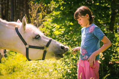 Children feeding a white horse on paddock of farm. little girl is feeding a big horse. funny pets.