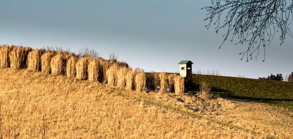 Scenic view of field against clear sky