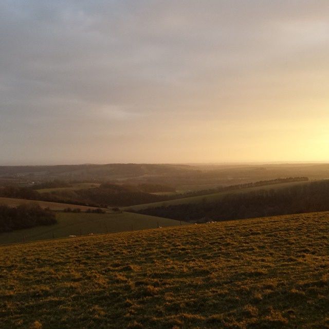 Southdownsway