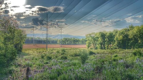 Scenic view of field against cloudy sky