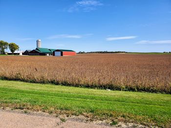 Scenic view of agricultural field against blue sky