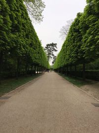 Road amidst trees against sky