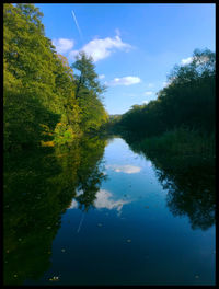 Reflection of trees in water