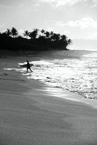 Surfer carrying surfboard on shore at beach