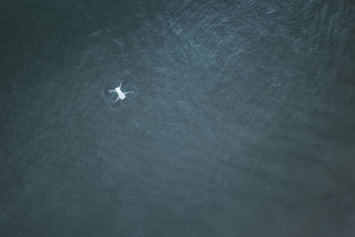 High angle view of airplane flying over sea