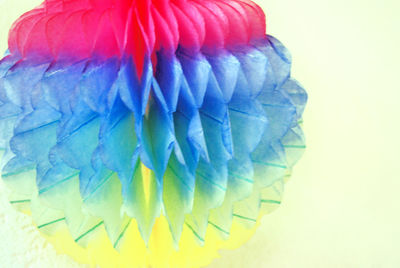 Close-up of colorful balloons on white background
