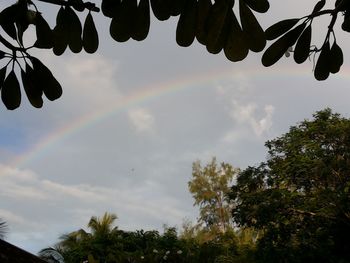 Rainbow over trees against sky