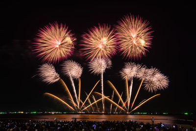 Low angle view of firework display at night