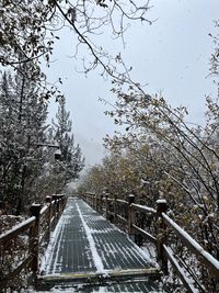 winter