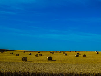Hay bales on field against blue sky