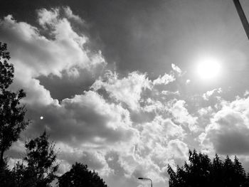 Low angle view of trees against sky