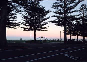 Road at sunset