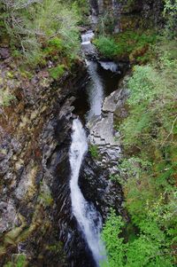 Scenic view of river flowing through forest