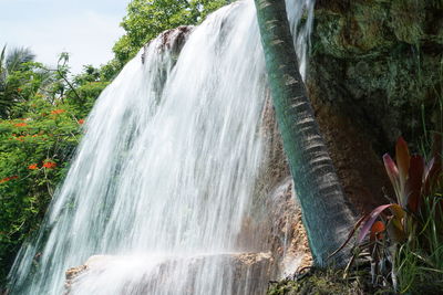 Scenic view of waterfall in forest against sky