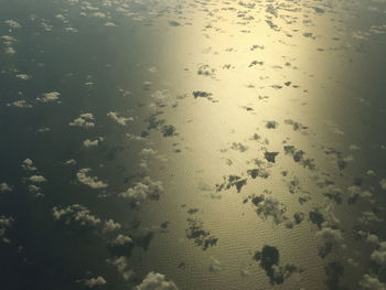 High angle view of birds in the lake