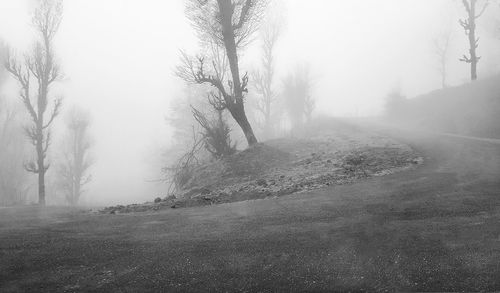 Road by trees on landscape against sky