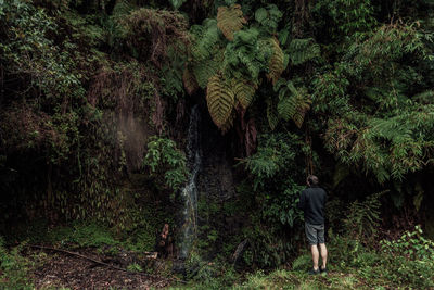 Rear view of a man standing in forest