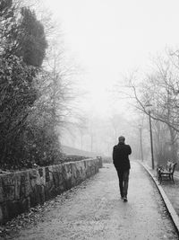 Rear view of people walking on road