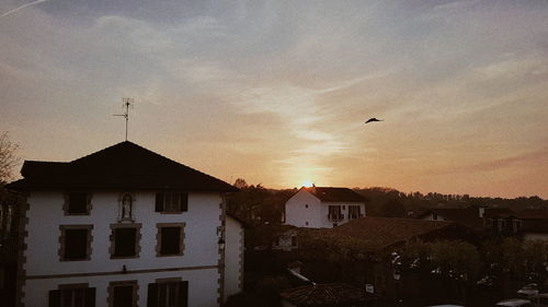 Bird flying over houses against sky during sunset