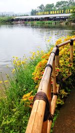 Wooden bridge over river