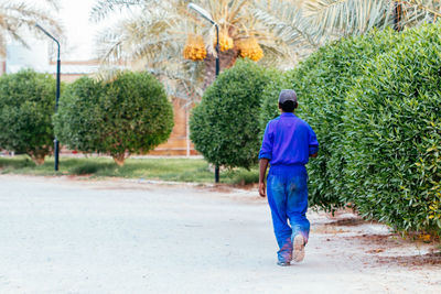 Rear view of a man walking on road along trees