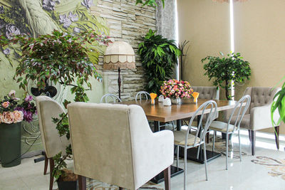 Empty chairs and table in potted plant