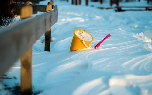 Close-up of yellow flower