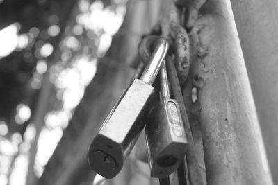 Close-up of padlocks hanging on metal