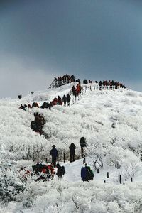 People on snow covered landscape against sky