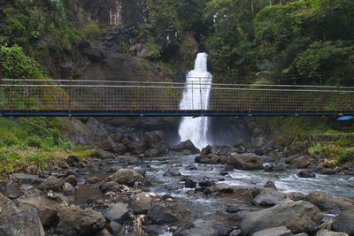 Bridge over rocks in forest