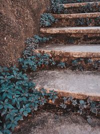 High angle view of steps by wall