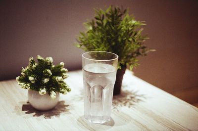 Close-up of potted plant on table