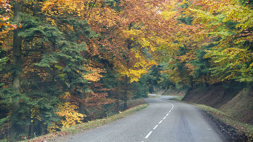 Road amidst trees during autumn